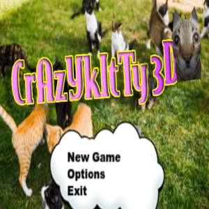 Crazy Kitty 3D